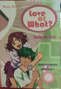 Image of Love or what: cinta kok ribut melulu